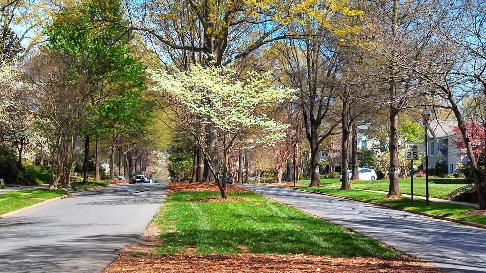 Contemporary Gem In The Heart Of Myers Park Βίλα Σάρλοτ