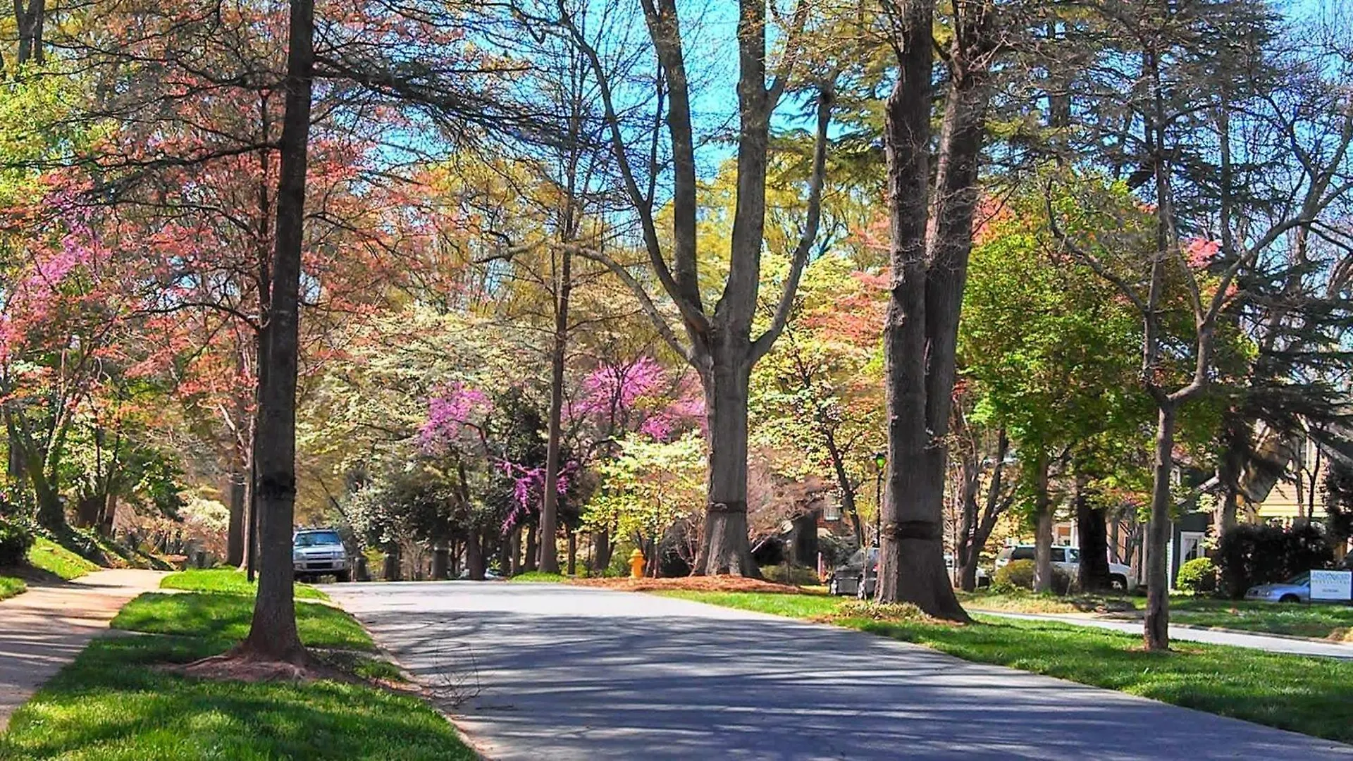 Σπίτι διακοπών Contemporary Gem In The Heart Of Myers Park Βίλα Σάρλοτ